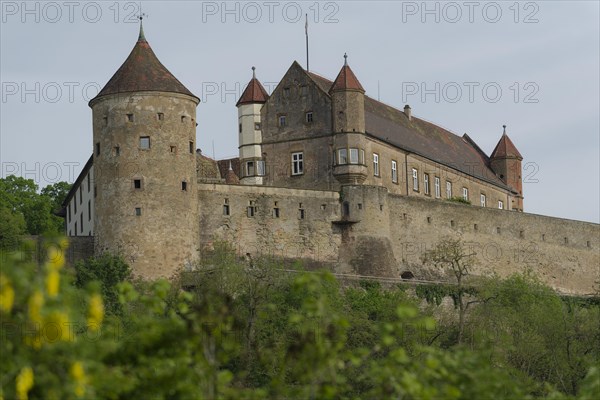 View of Stettenfels Castle in Untergruppenbach, Tower, Towers, Heilbronner Land, Heilbronn-Franken,