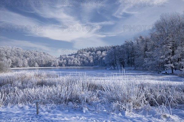 Holzmaar, in winter, nature reserve, Vulkaneifel, Rhineland-Palatinate, Germany, Europe