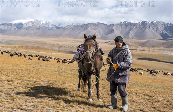 Nomadic life on a plateau, shepherd on horse, flock of sheep, dramatic high mountains, Tian Shan