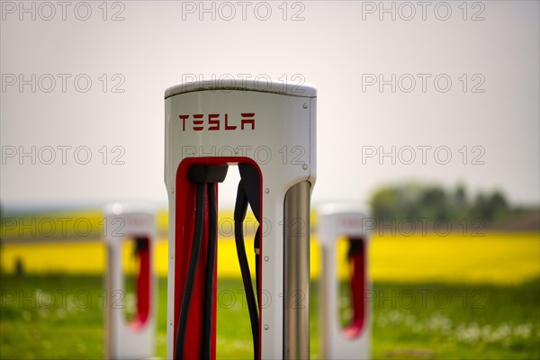 Tesla Supercharger in front of rapeseed field, logo, charging station for electric cars, charging