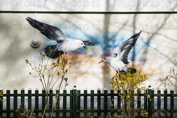Wall painting with Seagulls, Dangast, Jade Bay, North Sea, Lower Saxony, Germany, Europe