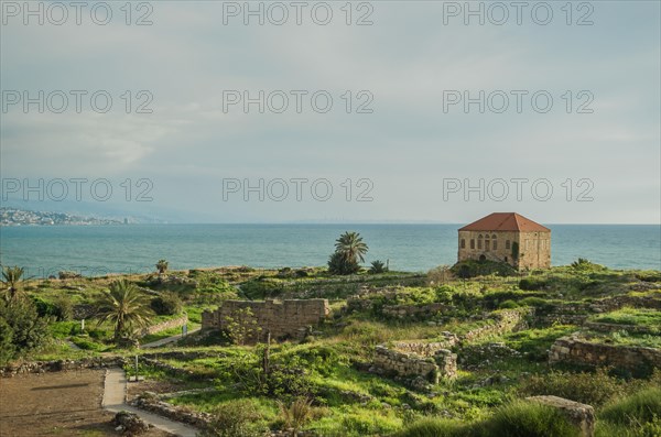 Old house of shellfish in Byblos, Lebanon, Asia
