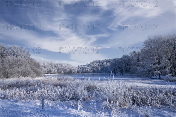 Holzmaar, in winter, nature reserve, Vulkaneifel, Rhineland-Palatinate, Germany, Europe