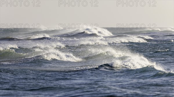 Destination Spain, swimming in the sea, travel, holiday, holiday feeling, sea, waves, Playa del