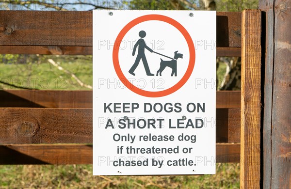 Keep Dogs on short lead, only release dog if threatened or chased by cattle, Suffolk Sandlings,
