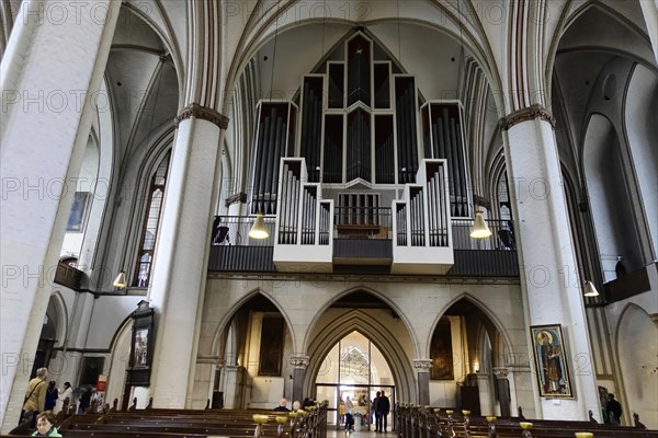 Main organ, Sankt-Petri-Kirche, parish church, start of construction 1310, Moenckebergstrasse,