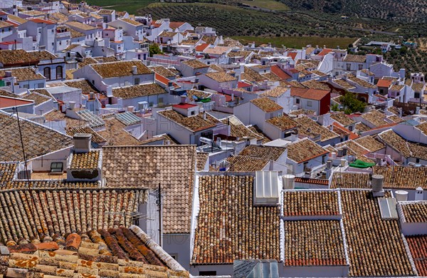 Terracotta roofs in Mediterranean style, Bornos, Andalusia, Spain, Europe