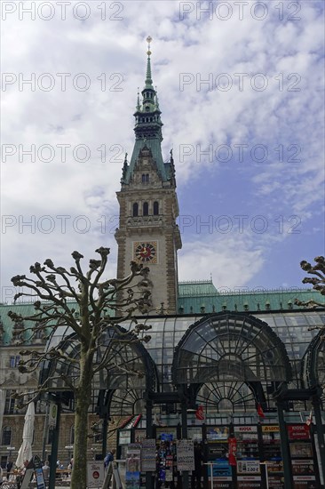 Hamburg Town Hall and Town Hall Market, Hamburg, Germany, Europe, Bare trees frame the view of the