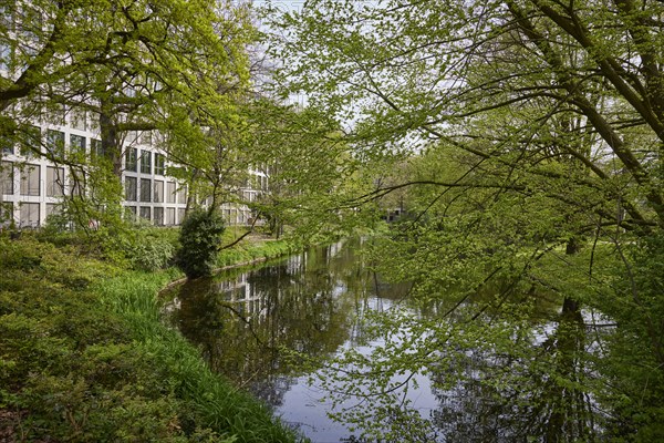 City moat in the Wallanlagen public park in Bremen, Hanseatic city, federal state of Bremen,