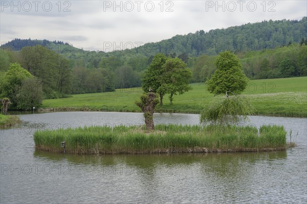 Island in fish breeding pond, Egyptian goose, Harrier, pond, fish pond, pond, Schwaebisch Hall,