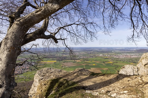 Breitenstein near Ochsenwang in spring, rocky outcrop of the Swabian Alb, 811 metre high rocky