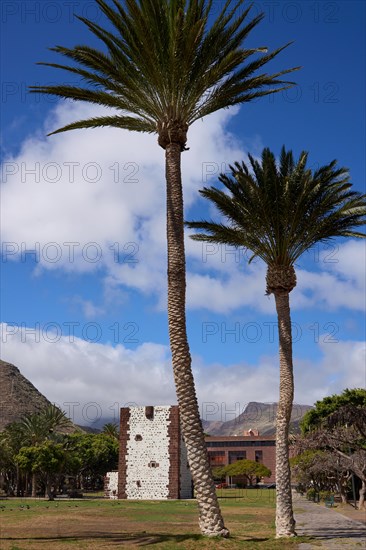 Two Palm trees in front of the Torre del Conde, Tower of the Count, medieval tower in the park,