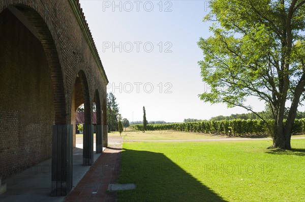 Montevideo, Uruguay, 13th January 2022, Famous Bodega Bouza, winery of fine wines from uruguay,