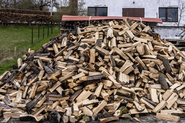 Pile of firewood in the front garden, Ruegen, Mecklenburg Vopommern, Germany, Europe