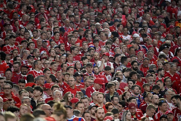 Spectators, fans, fan curve, fan block, FC Bayern Munich, FCB, Allianz Arena, Munich, Bavaria,