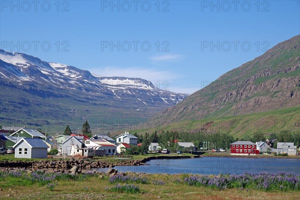 Small village under snow-covered, rugged mountains, ferry town, Seydisfjoerdur, East Iceland,