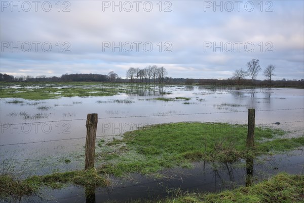 Flooded wet meadows in winter, Dingdener Heide nature reserve, North Rhine-Westphalia, Germany,
