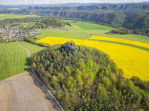 The Zirkelstein near Schoena in the Saxon district of Saechsische Schweiz-Osterzgebirge is a 384.5