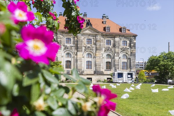 Archive of the Avant-Garde, Dresden, Saxony, Germany, Europe