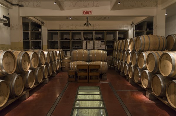 Montevideo, Uruguay, 13th January 2022, Oak barrels from famous Bodega Bouza, winery of fine wines