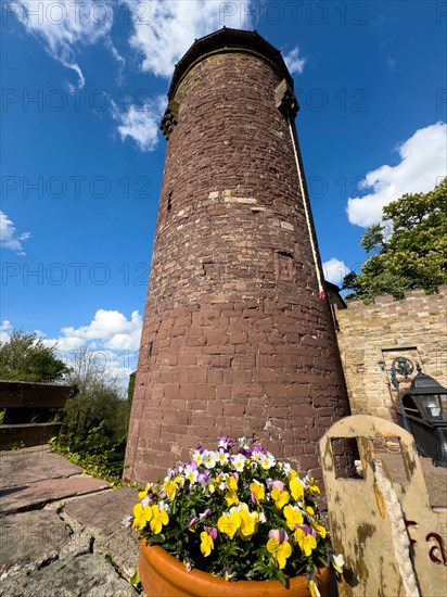 View of tower castle tower Rapunzel tower of medieval Trendelburg from the Middle Ages 13th century