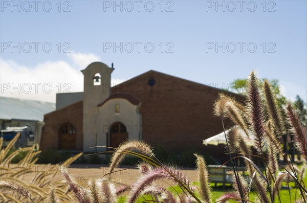 Montevideo, Uruguay, 13th January 2022, Famous Bodega Bouza, winery of fine wines from uruguay,