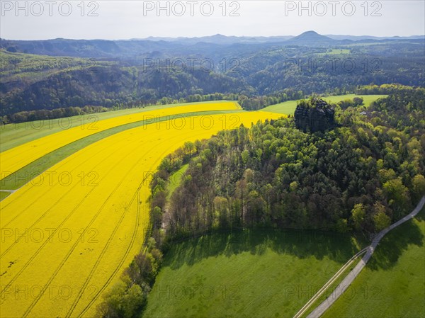 The Zirkelstein near Schoena in the Saxon district of Saechsische Schweiz-Osterzgebirge is a 384.5