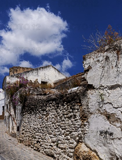 Old house facades and property walls, Bornos, Andalusia, Spain, Europe