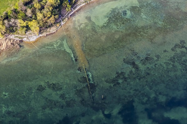 Shore of Lake Constance, turquoise-coloured water, aerial view, top-down, aerial view, Immenstaad