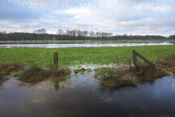 Flooded wet meadows in winter, Dingdener Heide nature reserve, North Rhine-Westphalia, Germany,