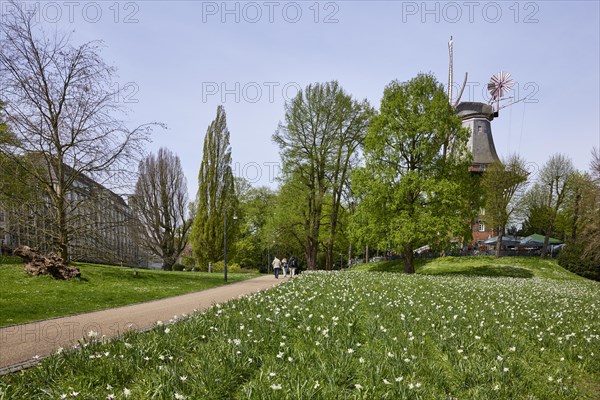 Mill Am Wall and flower field in the Wallanlagen in Bremen, Hanseatic City, State of Bremen,