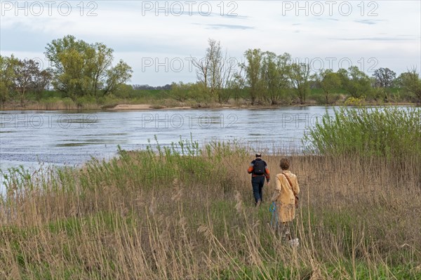 Woman and man walking to the riverbank, Elbe, Elbtalaue near Bleckede, Lower Saxony, Germany,