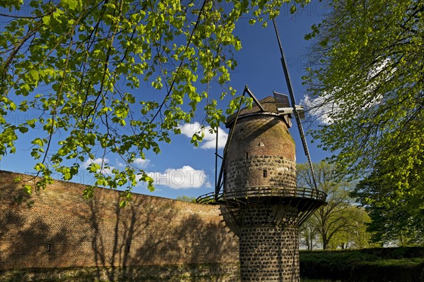 Town wall with mill tower of the historic windmill in Zons, Dormagen, Lower Rhine, North