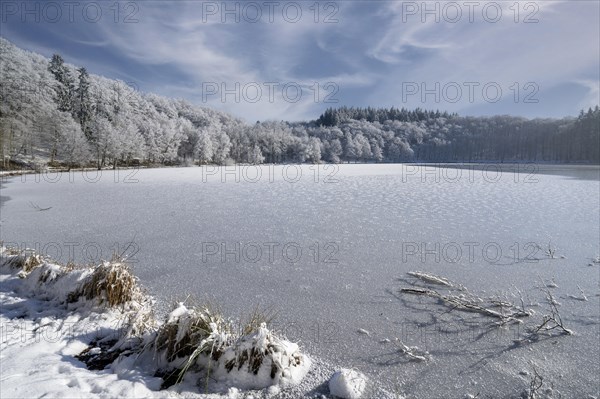 Holzmaar, in winter, nature reserve, Vulkaneifel, Rhineland-Palatinate, Germany, Europe