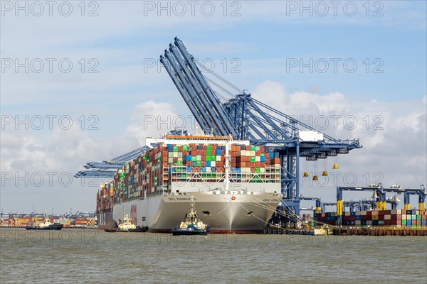 OOCL Zeebrugge container ship at quayside Port of Felixstowe, Suffolk, England, UK tugs arriving to