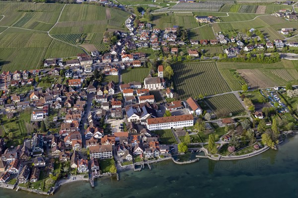 Zeppelin flight over the shore of Lake Constance, vineyards and church, aerial view, Hagnau,