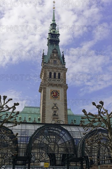 Hamburg Town Hall and Town Hall Market, Hamburg, Germany, Europe, Historic town hall building with