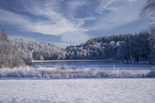 Holzmaar, in winter, nature reserve, Vulkaneifel, Rhineland-Palatinate, Germany, Europe