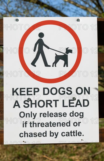Keep Dogs on short lead, only release dog if threatened or chased by cattle, Suffolk Sandlings,