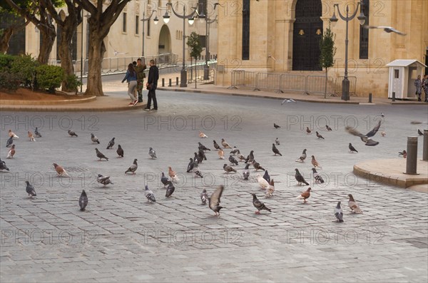 Beirut, Lebanon, April 03, 2017: Several doves in downtown Beirut Lebanon, urban pest, Asia