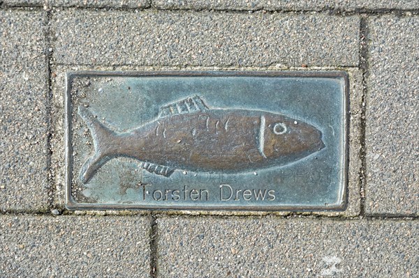 Bronze Clupeidae, pavement, Torsten Drews, harbour, Kappeln, Schlei, Schleswig-Holstein, Germany,
