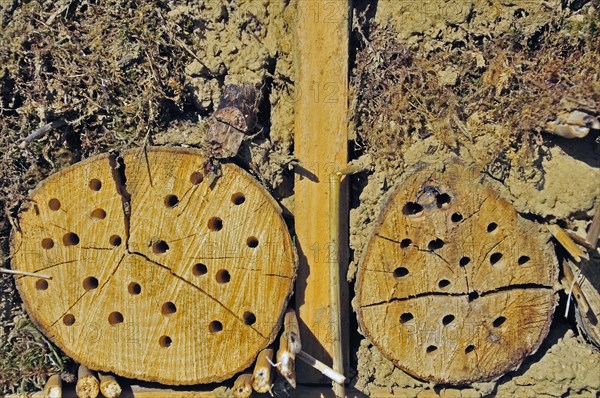 Nesting aid for wild bees and other insects with wooden logs, wild bee nesting aid, insect nesting