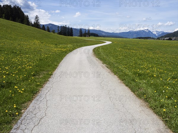 Path leads through green meadows, Salzkammergut cycle path, cloudy mood over mountain peaks, near