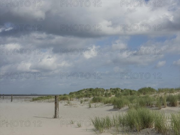 Beach with dunes, grass and an old wooden post under a cloudy sky, lonely beach with dune grass in