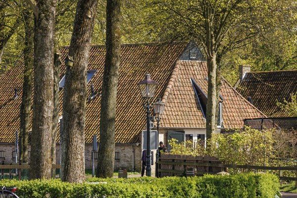A house with a sloping roof and lantern in the foreground, surrounded by tall trees in spring,