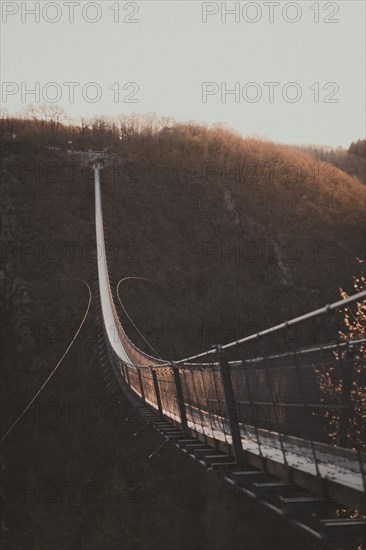 A bridge leads through autumnal trees in the subdued light of dusk. Suspension rope bridge