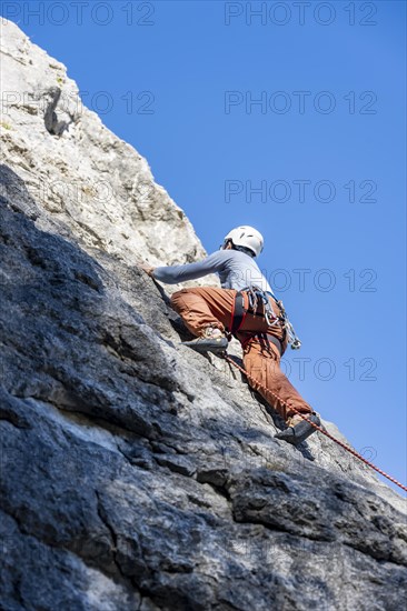Sport climbing with rope, climber on a rock face, Frauenwasserl climbing garden, Ammergau Alps,