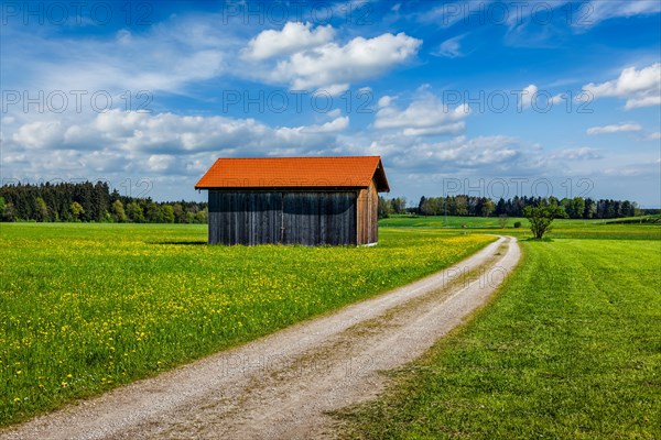 Rural road in summer meadow with wooden shed. Bavaria, Germany, Europe