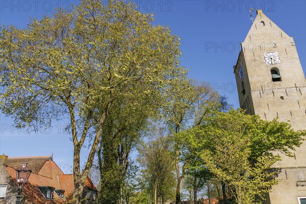 Historic tower with clock and trees under a blue sky in a village in spring, historic houses in a