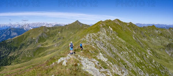 Mountaineer on a grassy ridge, idyllic mountain landscape with green mountain meadows, Carnic High